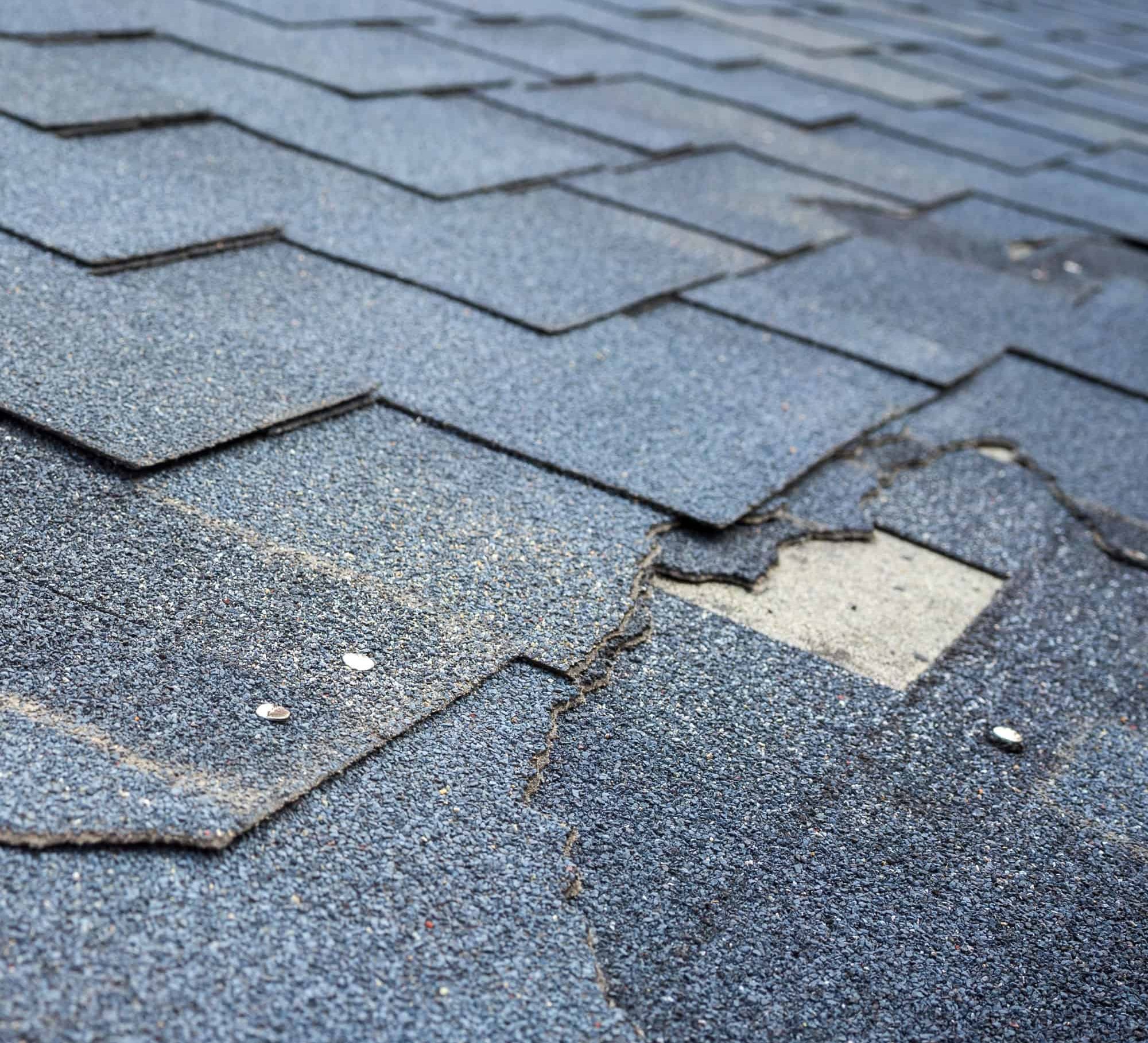 beach-rental-10 Asphalt Shingle Repair Victoria